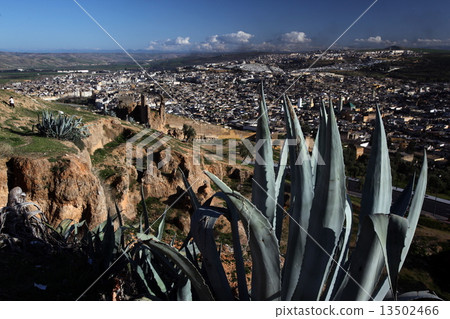 AFRICA MOROCCO FES MEDINA  13502466