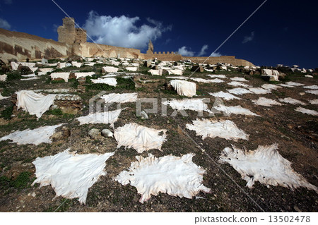 AFRICA MOROCCO FES MEDINA  13502478