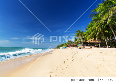 Beautiful beach with blue sky 13502739