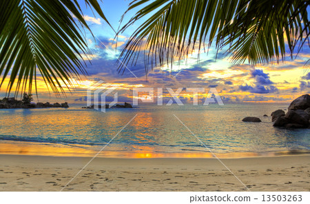Tropical beach at sunset 13503263