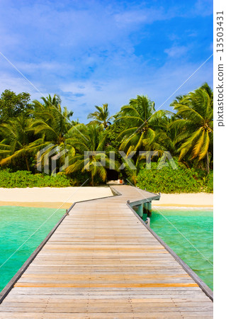 Jetty, beach and jungle 13503431