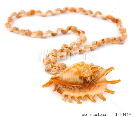 Necklace made of sea shell 13503449