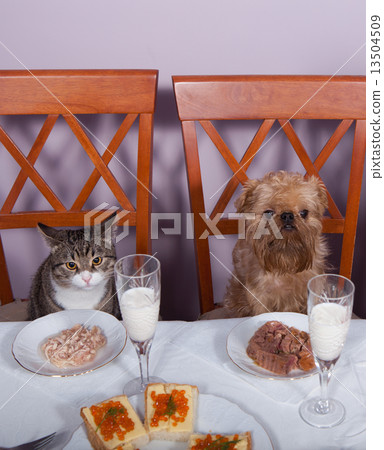 Banquet for the animals Banquet for the animals 13504509