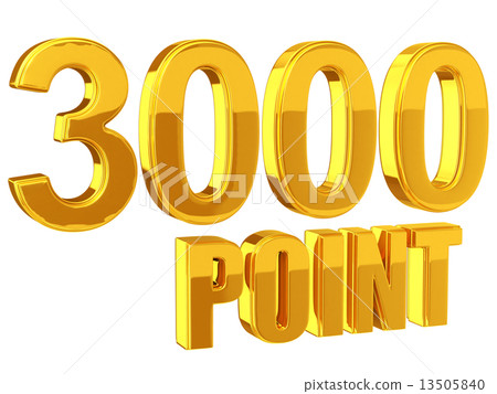 Point service 3000 points 13505840