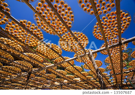 柿餅加工在台灣的新竹縣 13507687