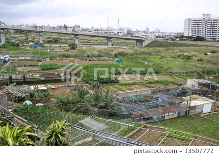 在宜野灣市小山的蒂莫場 13507772