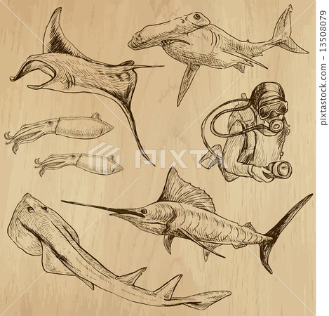 Underwater, Sea Life - hand drawn vector pack Underwater, Sea Life - hand drawn vector pack 13508079