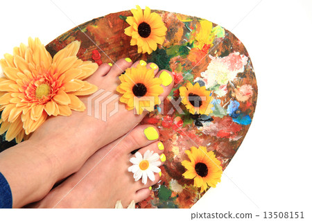 women feet (pedicure)  with flowers 13508151