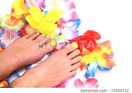 women feet (pedicure) with flowers women feet (pedicure) with flowers 13508152