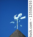 Wind chicken on the roof 13508293