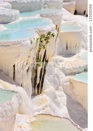 Travertine pools and terraces in Pamukkale, Turkey Travertine pools and terraces in Pamukkale, Turkey 13508568