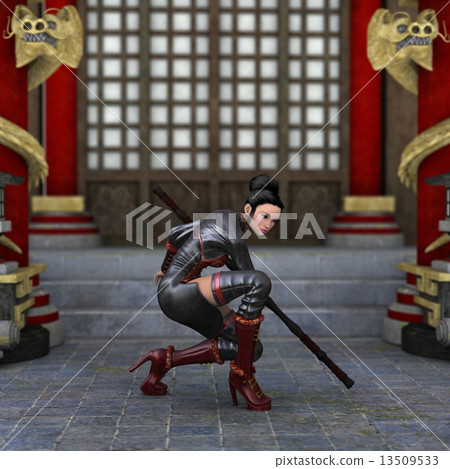 Kung Fu Chinese ladies 13509533
