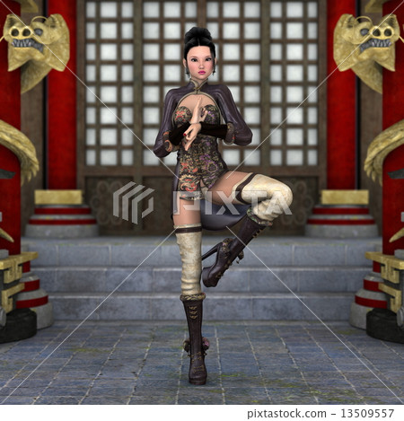 功夫中國女士 功夫中國女士 13509557