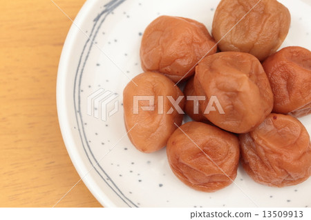 咸梅 咸梅 13509913