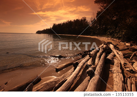 ASIA BRUNEI DARUSSALAM 13513355