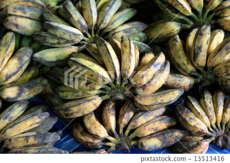 ASIA BRUNEI DARUSSALAM ASIA BRUNEI DARUSSALAM 13513416