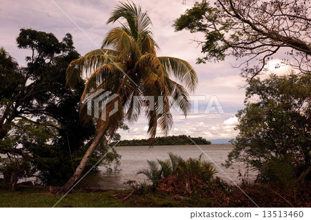 ASIA BRUNEI DARUSSALAM ASIA BRUNEI DARUSSALAM 13513460