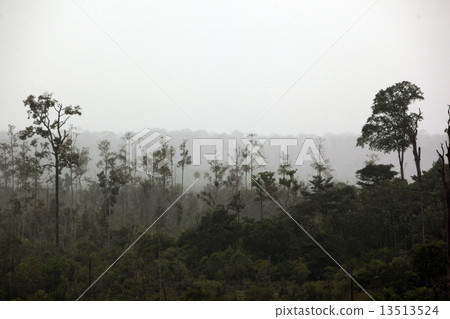 ASIA BRUNEI DARUSSALAM ASIA BRUNEI DARUSSALAM 13513524