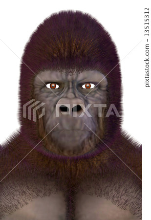 Gorilla ☆ Gorilla 13515312