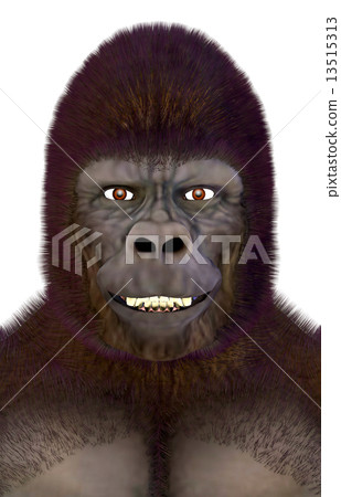 大猩猩☆大猩猩 13515313