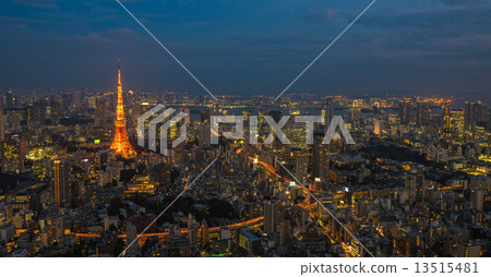 Tokyo night scene, panoramic view 13515481