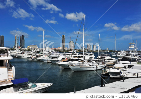 澳大利亞黃金海岸 13516466