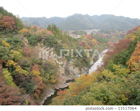 Mimpokuchi of autumn leaves Mimpokuchi of autumn leaves 13517064