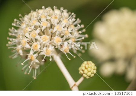 Yatsude Yatsude 13517105