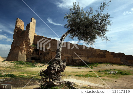 AFRICA MOROCCO FES 13517319