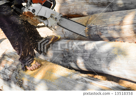 Saw blade for cutting timber Saw blade for cutting timber 13518358