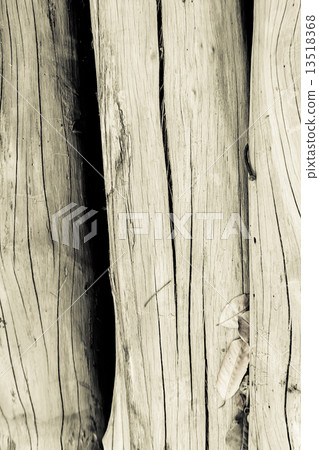 texture of bark tree for background 13518368