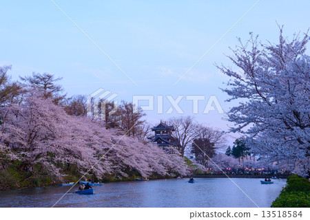 Cherry blossoms at Takada Park and Takada castle at dusk of Joetsu 13518584
