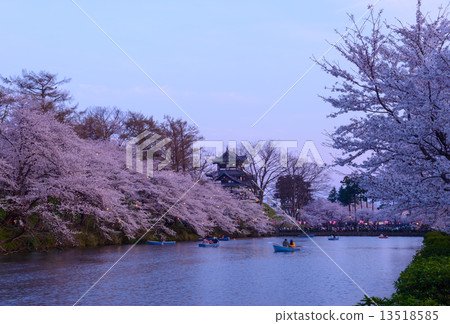 Cherry blossoms at Takada Park and Takada castle at dusk of Joetsu 13518585