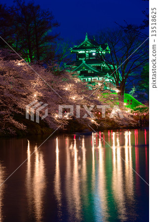 在Joetsu Takada公園的櫻花和高田城堡點亮 13518625