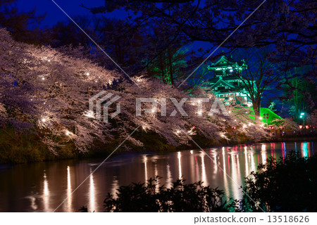 在Joetsu Takada公園的櫻花和高田城堡點亮 13518626