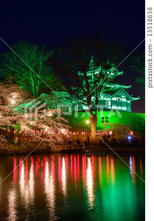 Sakura and Takada castle at Takada Park at Joetsu Night 13518638