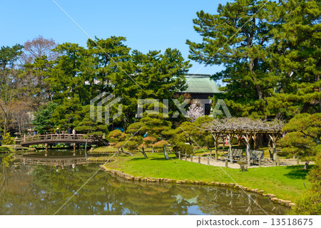 新潟白山公園 13518675