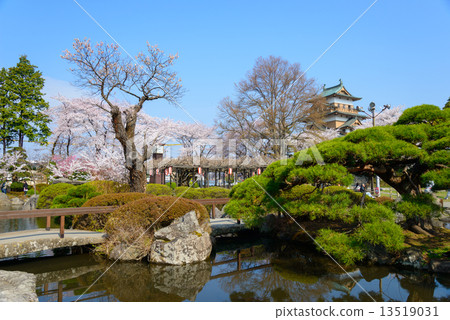在長野縣高島公園和高島城堡驢寺的櫻花 在長野縣高島公園和高島城堡驢寺的櫻花 13519031