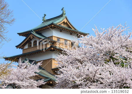 Cherry blossoms at Takashima Park in Nagano Prefecture and Takashima Castle donkei temple Cherry blossoms at Takashima Park in Nagano Prefecture and Takashima Castle donkei temple 13519032
