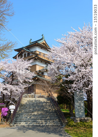 Cherry blossoms at Takashima Park in Nagano Prefecture and Takashima Castle donkei temple 13519033