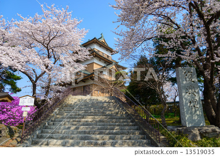 在長野縣高島公園和高島城堡驢寺的櫻花 在長野縣高島公園和高島城堡驢寺的櫻花 13519035