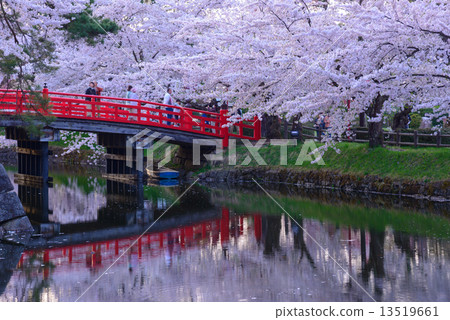 青森櫻花在弘前公園黃昏 13519661