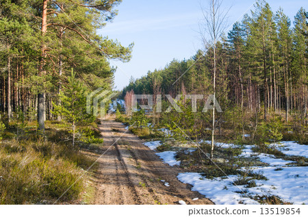 Spring landscape with forest road Spring landscape with forest road 13519854