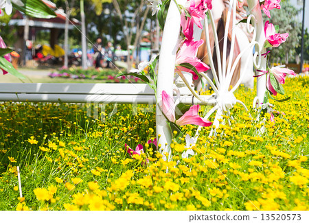 Bicycles in the Flower Garden Bicycles in the Flower Garden 13520573