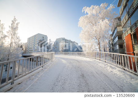 Cold fresh winter morning Cold fresh winter morning 13520600