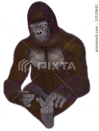 Gorilla ☆ Gorilla 13520691