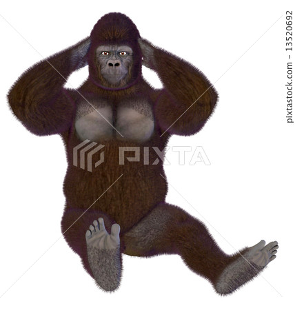 Gorilla ☆ Gorilla 13520692