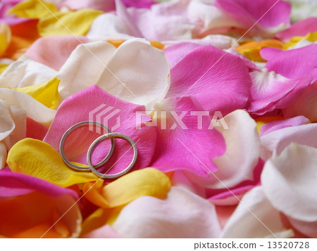 結婚戒指 13520728