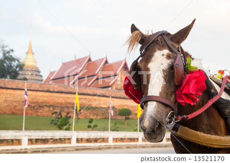 Horse carriage at temple Phra That Lampang Luang, Thailand 13521170