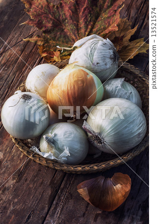 harvest onion harvest onion 13521574